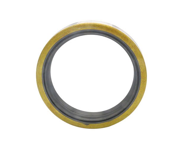 Rubber oil seal